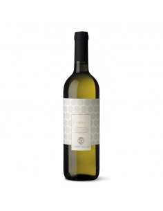 Crogliano campania greco igp cl75