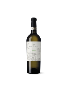 TORRE ANTICA VINO CL75 FIANO DI AVELLINO DOCG