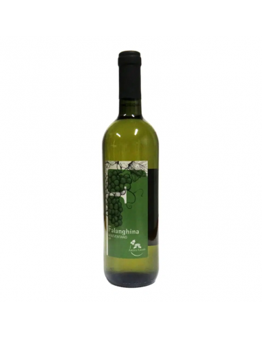 Antico casale vino cl75 falanghina