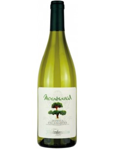 Mastrober. lt1,5 falanghina morabianca