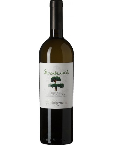 Mastrober. lt1,5 morab.falanghina color collection