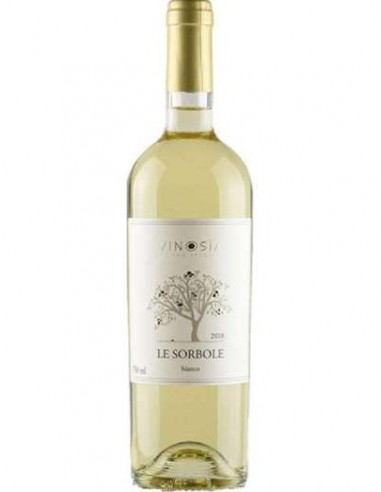 Vinosia falanghina cl75 le sorbole