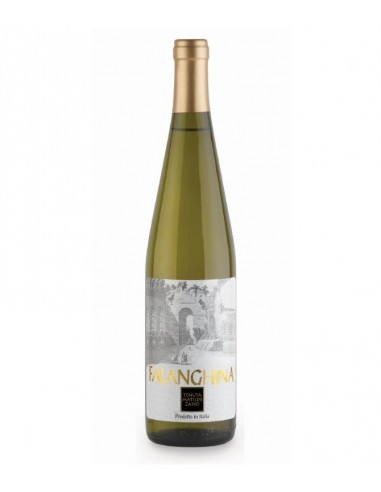 Matilde zasso cl75 falanghina