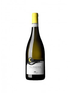 Colle san domenico falanghina cl75 del sannio