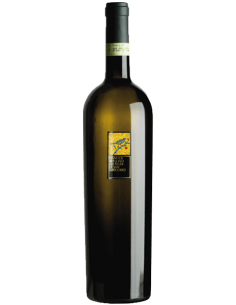 Feudi s.gregorio cl150 fiano di avellino