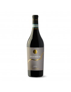 CANTINA SOLOPACA CL75 BARBERA TELESINUM