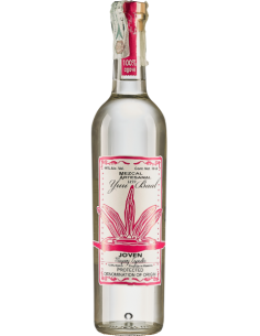 Mezcal yuu baal cl70 joven 46%