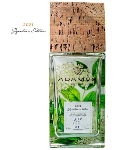 Gin adamus signature edition cl70 2023