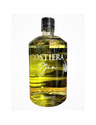 Gin costiera cl70 piemme
