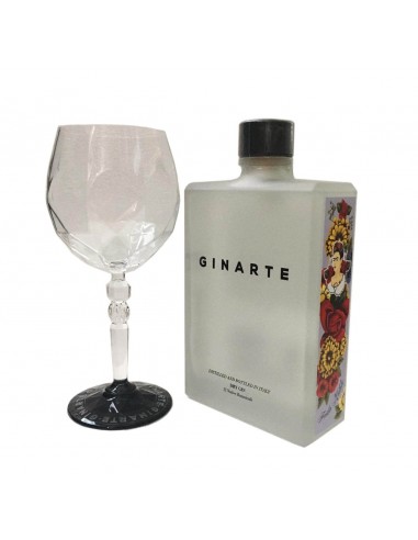 Gin ginarte cl70 + bicchieri
