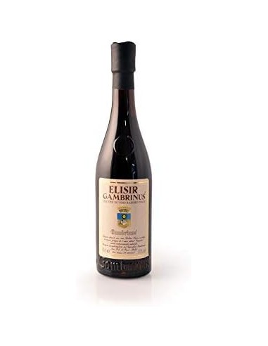 Elisir gambrinus cl10 ast
