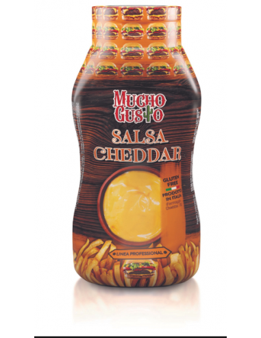 Top food salsa ml520 cheddar