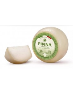 Pinna capretto sardo