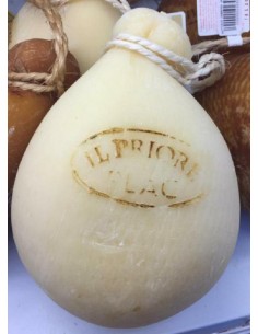 Plac caciocav.priore bianco kg.1,5