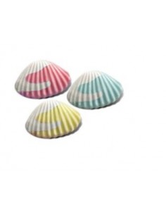 Dulcis damel kg1 conchiglie foam