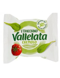 Vallelata gr100 stracchino cremoso