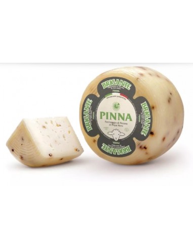 Pinna brigante pepe nero