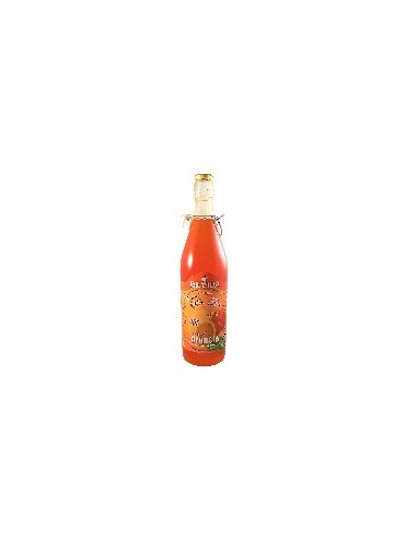 Bevida sciroppo cl100 arancia