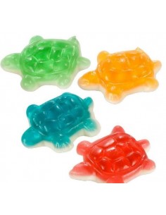 Fini tartarughe kg1 colorate lucide