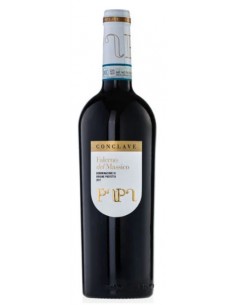 Gennaro papa conclave falerno del massico rosso prim. cl75