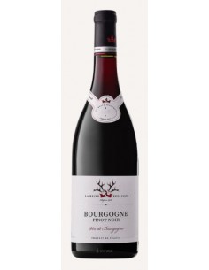 La reine pedauque pinot noir bourgogne cl75