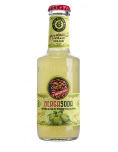 Bisleri bibita bergasoda cl.20