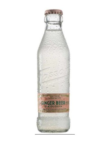 Tassoni cl18x25 ginger beer bio