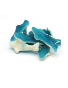 Dulcis damel kg1 squaletti