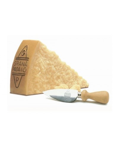 Auricchio grana padano kg1 14/24mesi stag.