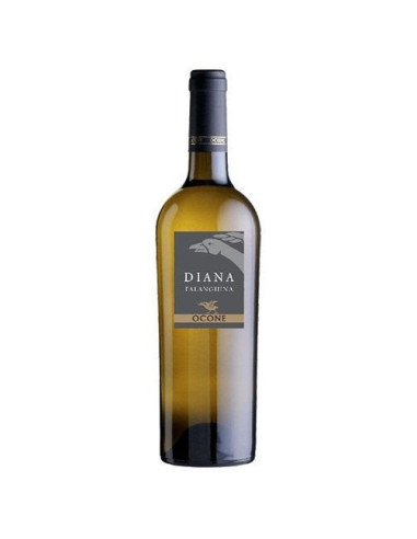 Ocone diana cl75 falanghina doc