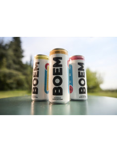Boem hard seltzer cl25x12pz mango