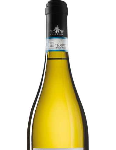 Torrantica cl75 pecorino