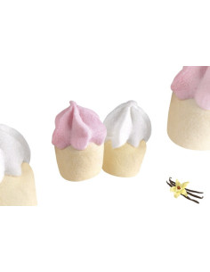 Dulcis mini gr900 gelati