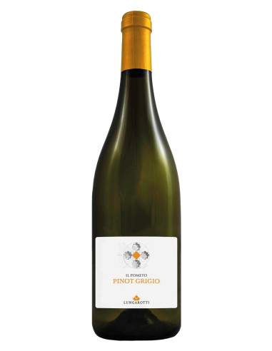 Lungarotti il pometo cl75 pinot grigio