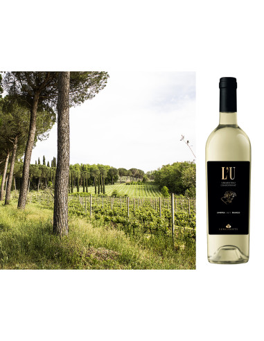 Lungarotti l'um cl75 vermentino chardonnay