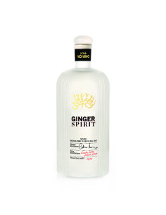 Nonino bevanda spiritosa cl5 ginger spirit