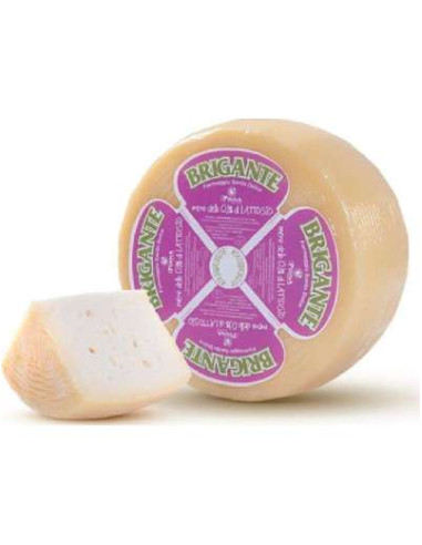 Pinna brigante senza lattosio