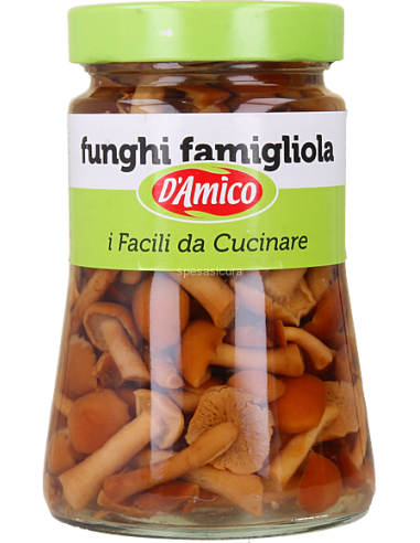 D amico funghi gr470 famigliola naturale