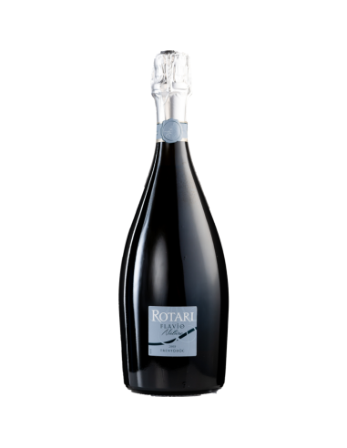 Rotari flavio nature riserva 2008 cl.75